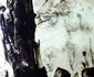 historia ro undefined jpeg