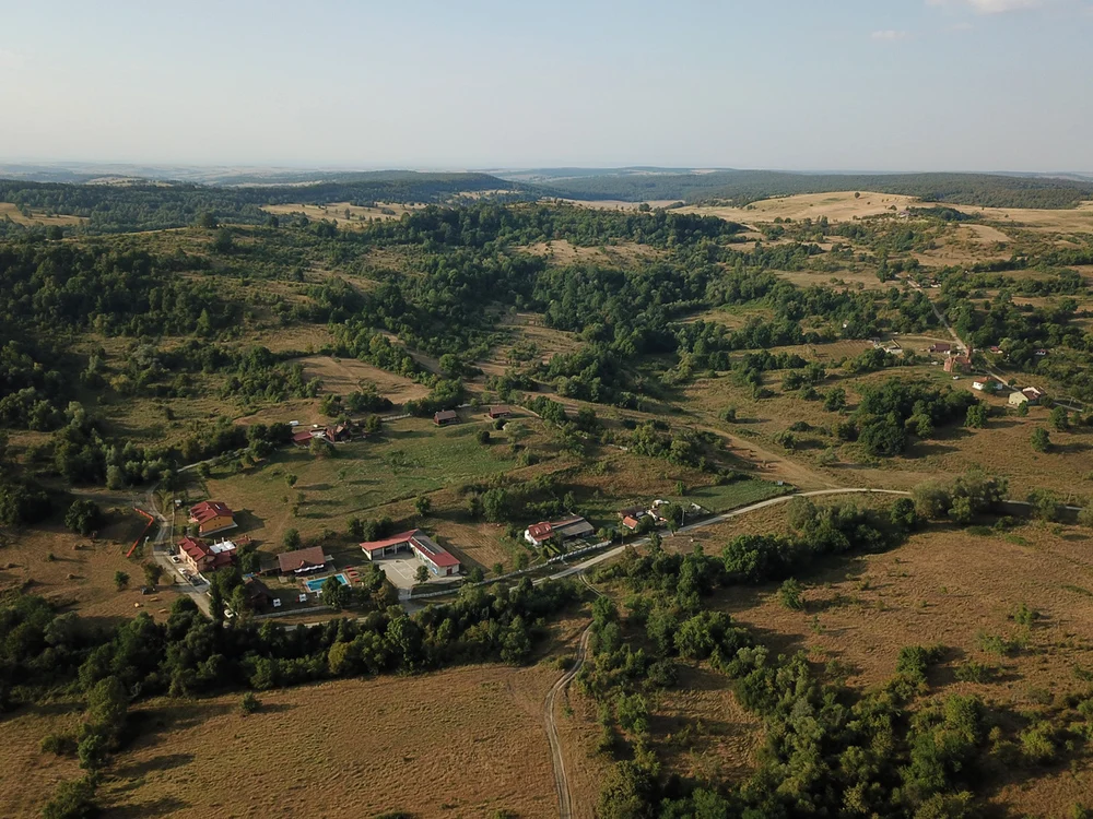 sat parasit jpg