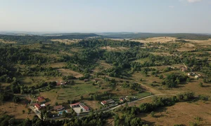 sat parasit jpg