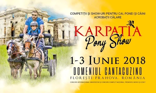 Poneii reiau spectacolul ecvestru la Karpatia Pony Show 2018, ediția a II a jpeg