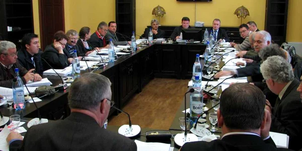 Consilierii locali s-au săturat de HSR