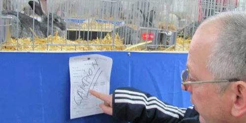 Expoziţie de animale