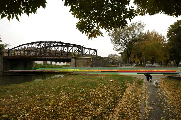 Podurile din Timişoara