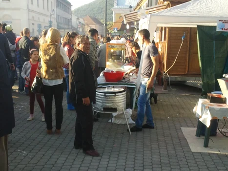 chereches si ada nechita