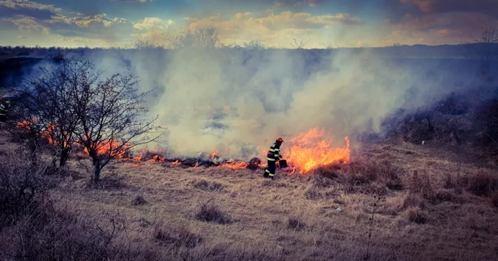 incendii vegetatie uscata