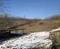Ferma primarului din Pesceana