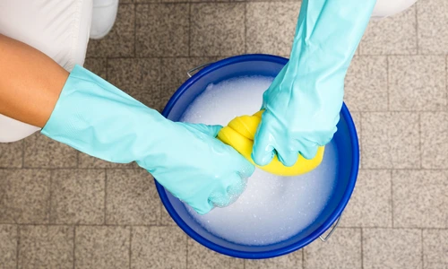 1 shutterstock 561898936 jpg jpeg