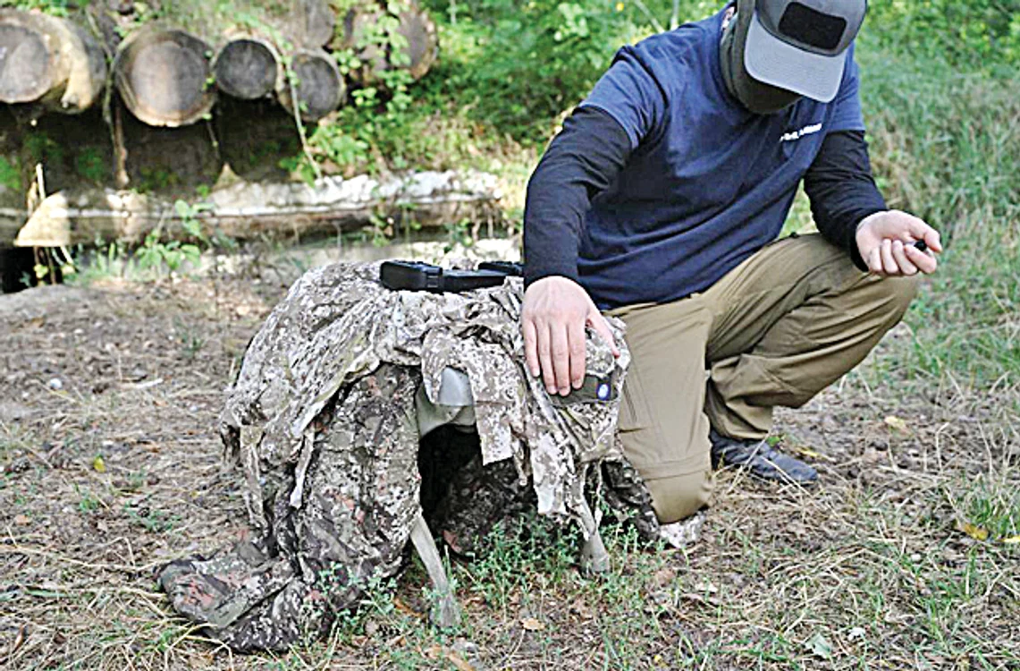 Câinele Brit Alliance Dog  (BAD2) de a doua generaţie,  fabricat în Marea Britanie