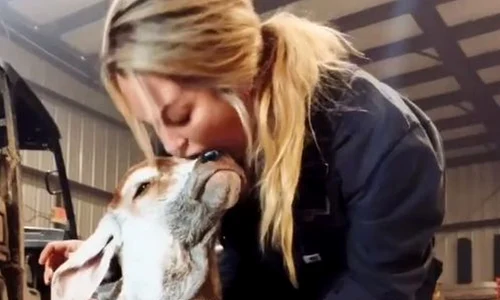 leeanna gabbrielle thomas vaci captura video jpg