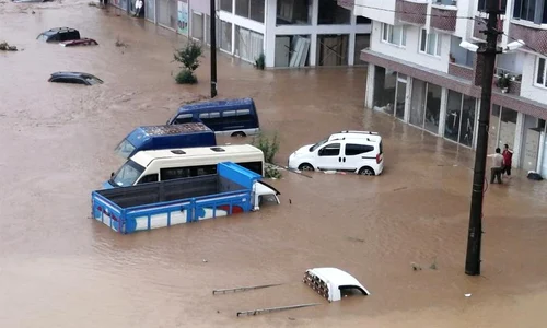 inundatii jpeg