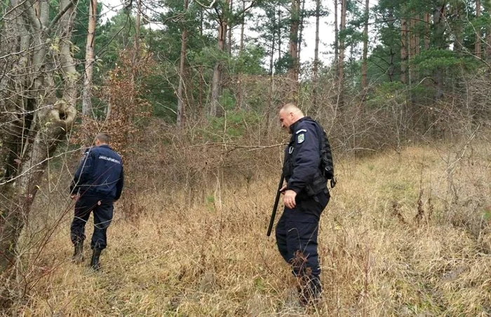 Jandarmii au fost solicitaţi la Valea Doftanei pentru a alunga ursoaica şi cei doi pui care au atacat bătrânul FOTO IJJ Prahova