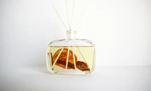 parfum pentru casă equivalenza jpg