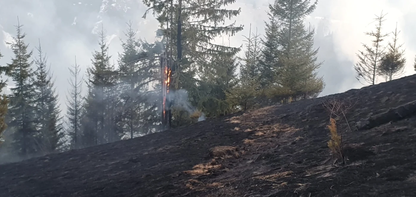 Incendiile au afectat şi fondul forestier FOTO ISU Neamţ