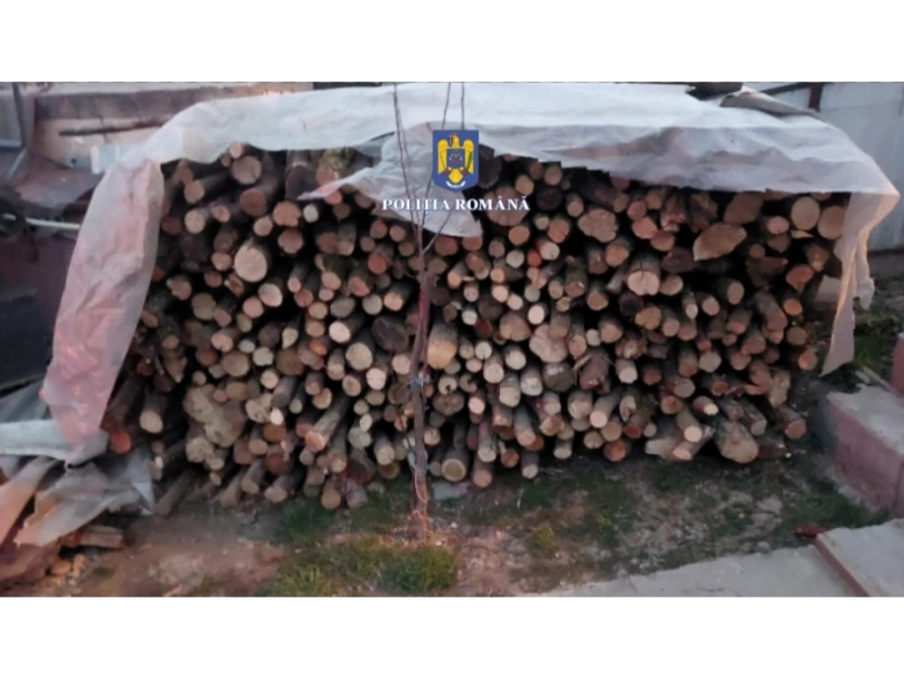 Mai mulți suspecți ar fi sustras cantități însemnate de material lemnos. FOTO Poliția Română
