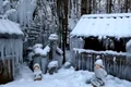 regat gheata mojstrana captura video 2 jpg
