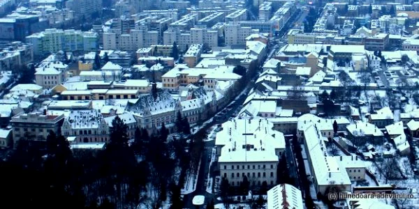 deva foro daniel guta adevarul