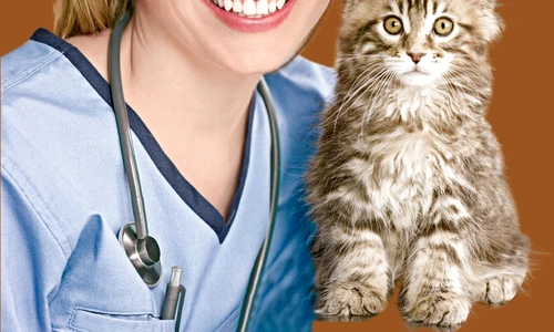 1 47118 original jpg jpeg