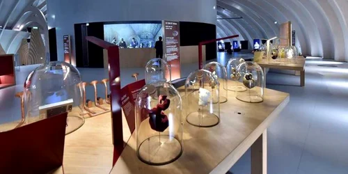 Orasul Vinului din Bordeaux FOTO AFP