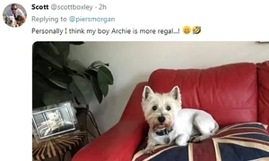 „Eu cred că Archie al meu e și el o regalitate” sau „Meghan și Harry și au numit copilul după câinele meu”, au fost doar câteva dintre comentariile internauților  jpeg