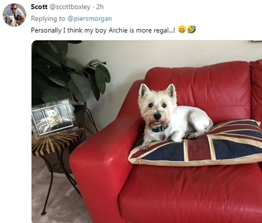„Eu cred că Archie al meu e și el o regalitate” sau „Meghan și Harry și-au numit copilul după câinele meu”, au fost doar câteva dintre comentariile internauților 