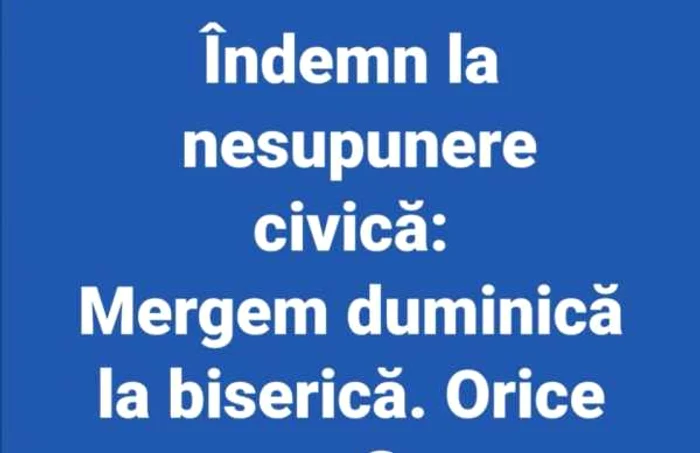 mircea puscasu