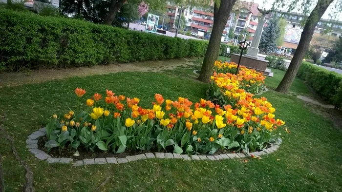 parc otopeni foto ruxandra gâlă