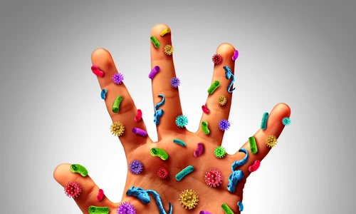 1 shutterstock 248158471 jpg jpeg