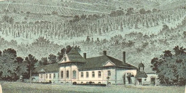 Vinuri Podgorie jpg