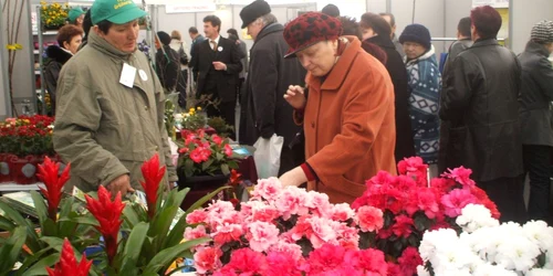 Florile sunt prezente cu o ofertă bogată la târg