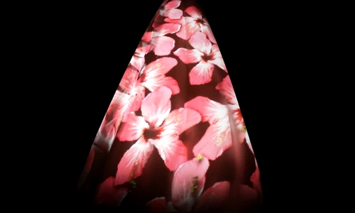 1 68919 original jpg jpeg