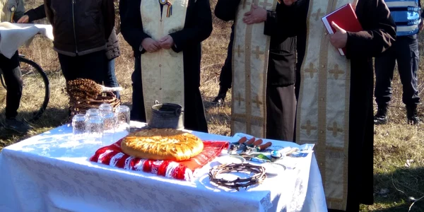 zarezan zimnicea foto florina pop