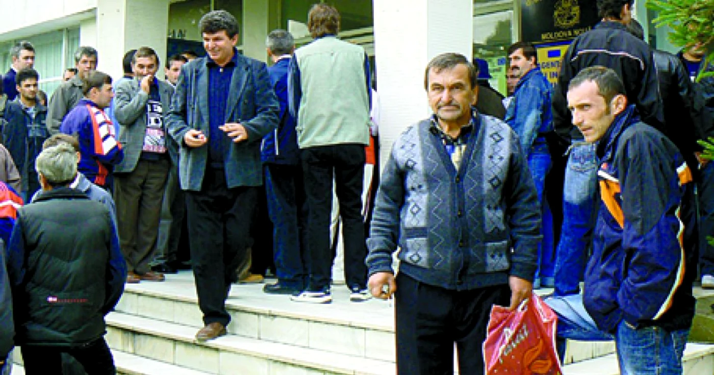 Moldomin Reşiţa