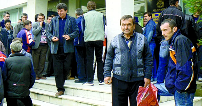 Moldomin Reşiţa