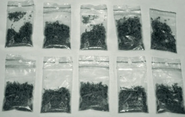 Cu astfel de pliculețe au fost prinși adolescenții (foto: primăria sectorului 6)