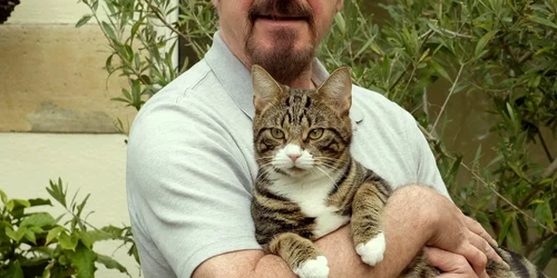 Jethro Tull pisici Facebook The Paw Project jpeg