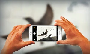 cele mai bune fotografii facute cu iphone jpeg