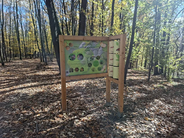 Panouri interactive FOTO Cosmin Zamfirache