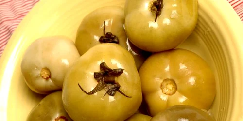 shutterstock 1272840 legume gogonele muraturi murate jpeg