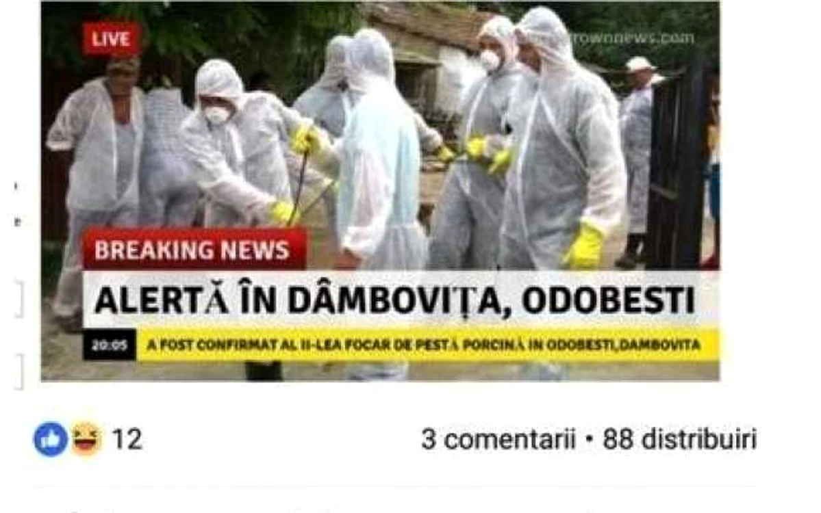 Poliţia anunţă că investighează acest caz, fiind demarate cercetări de către Biroul de Ordine Publică