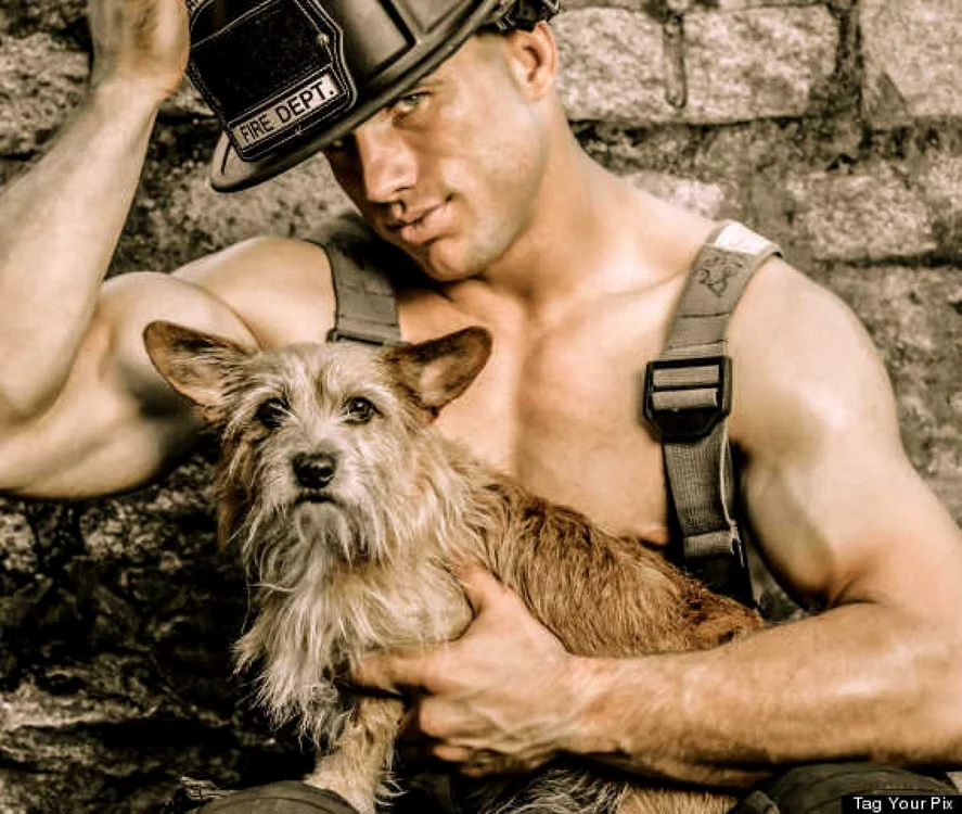 Tinerii pompieri s-au lăsat imortalizaţi în ipostaze sexy, etalându-şi busturile bine lucrate la sala de forţă şi având alături câţiva prieteni patrupezi. FOTO Huffington Post