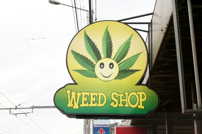 Produsele de la weed shop sunt periculoase