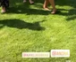 10 andra danseaza jerusalema ziua ei jpg jpeg