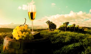 vita de vie struguri vin shutterstock 155360144 jpeg