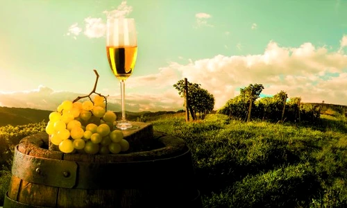 vita de vie struguri vin shutterstock 155360144 jpeg