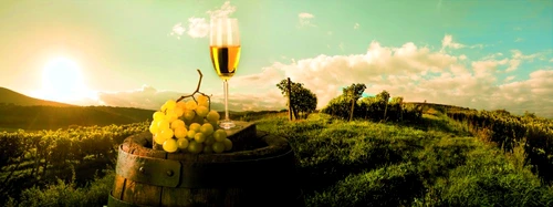 vita de vie struguri vin shutterstock 155360144 jpeg