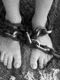 chains 19176 1280 jpg
