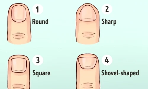 1 ce spune forma unghiilor despre personalitatea ta sigur nu stiai asta 5tuy jpg jpeg