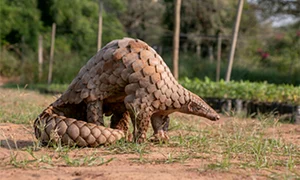 shutterstock 1721625991 1 copy jpeg