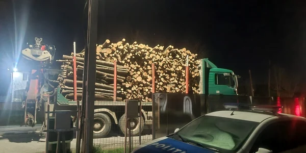 transport ilegal de lemne ciomăgeşti - foto gheorghe barbu
