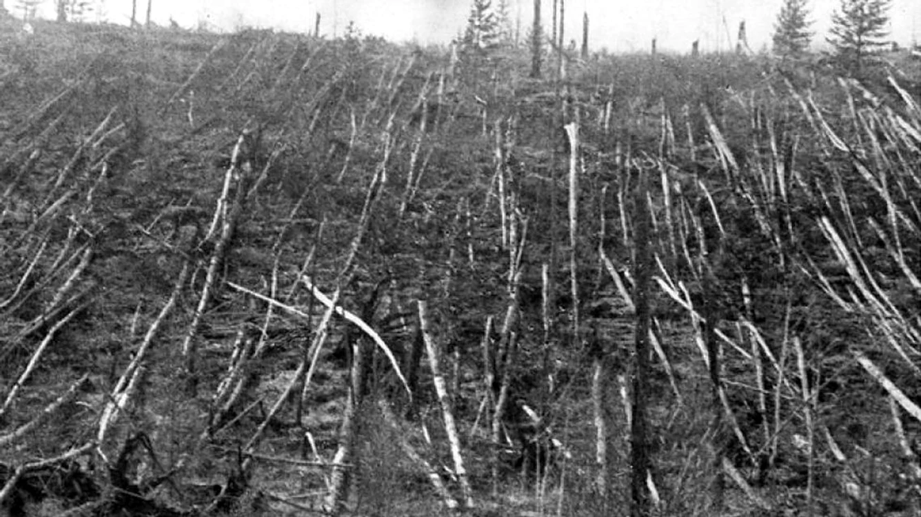 Fenomenul Tunguska FOTO: Arhivă